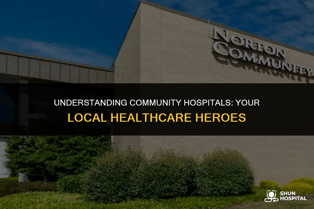 what is community hospitals