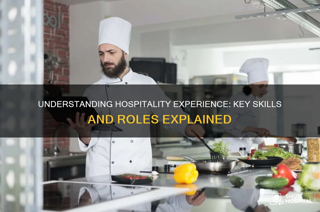 what is considered hospitality experience