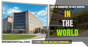 Exploring the World's Top Hospital: Excellence in Global Healthcare