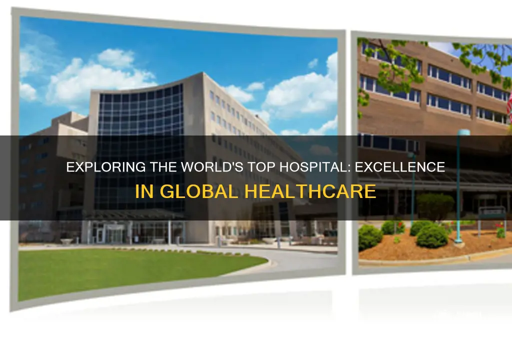 what is considered the best hospital in the world