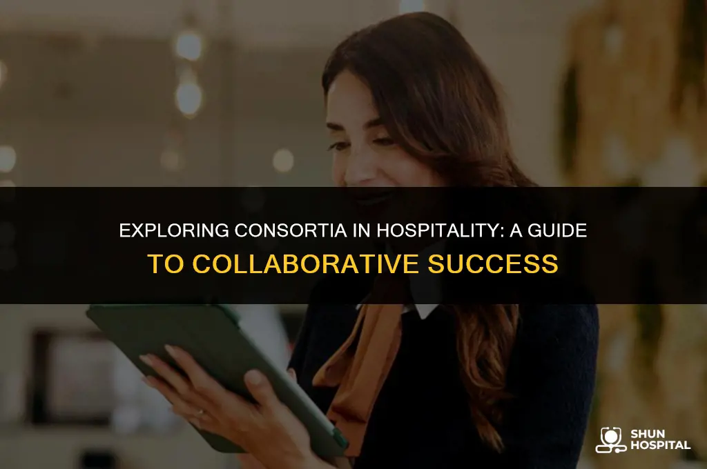 what is consortia in hospitality