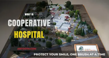 Exploring Cooperative Hospitals: A Model for Collaborative Healthcare