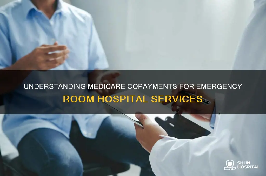 what is copayment for hospital services in medicare er visits