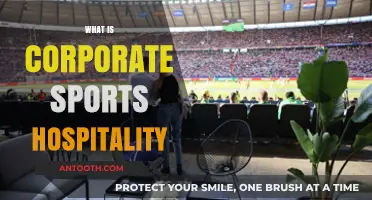 Exploring the World of Corporate Sports Hospitality: A Comprehensive Guide