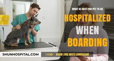 Pet Hospitalization Costs During Boarding: What to Expect
