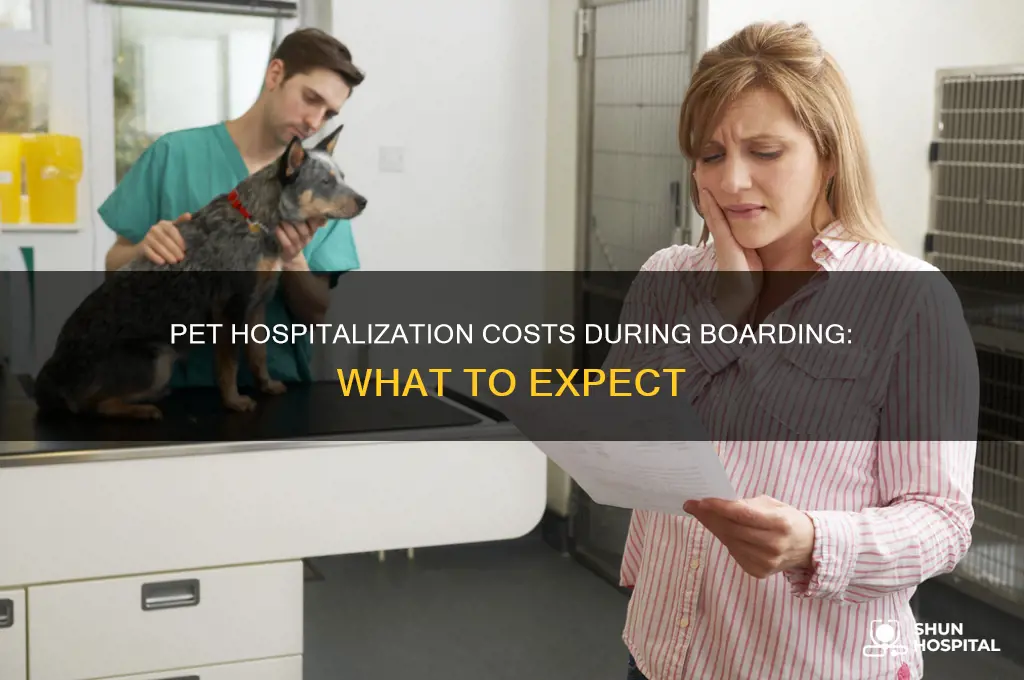 what is cost for pet to be hospitalized when boarding