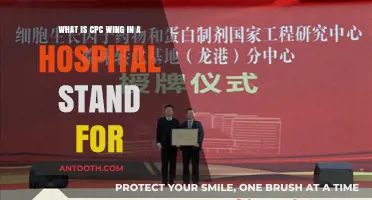 Understanding CPC Wing: Hospital Department Meaning and Functions Explained