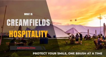 Exploring Creamfields Hospitality: A Comprehensive Guide to Services and Experiences