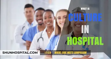 Understanding Hospital Culture: A Comprehensive Guide