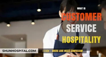 Exploring the Art of Customer Service in the Hospitality Industry