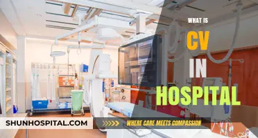 Exploring the Role of CV in Modern Hospital Settings