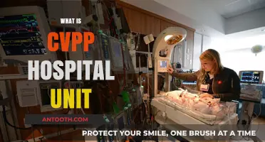 Understanding CVPP Hospital Units: A Comprehensive Guide