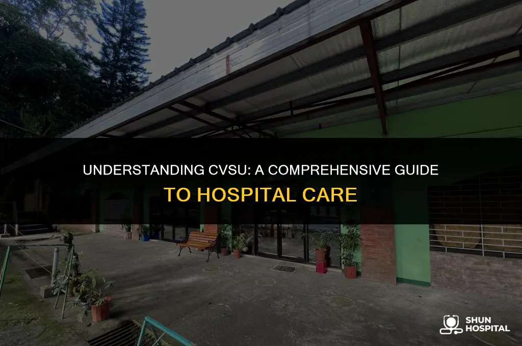 what is cvsu in hospital