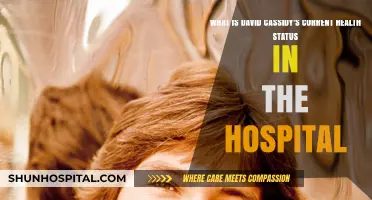 David Cassidy's Hospitalization: Current Health Status and Updates