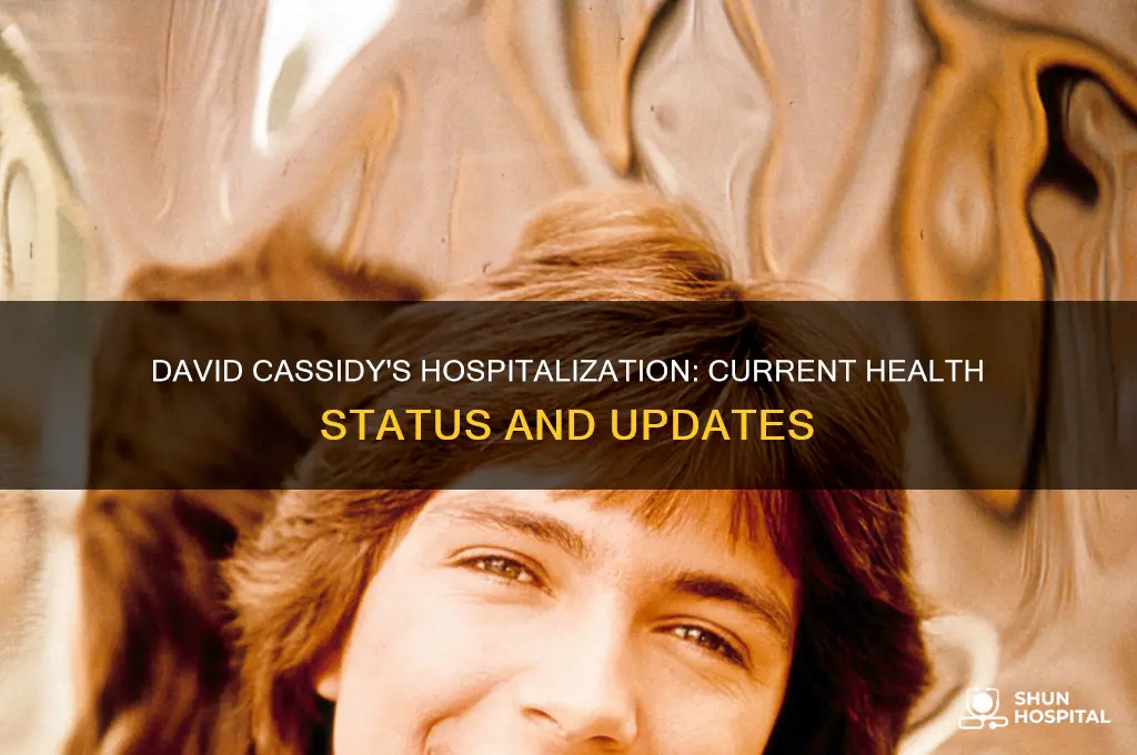 what is david cassidy