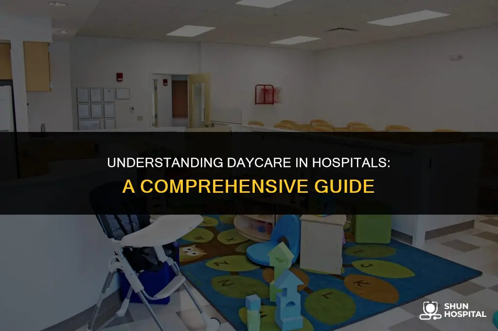 what is daycare in hospital