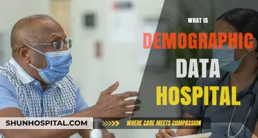 Understanding Demographic Data in Hospitals: A Comprehensive Guide