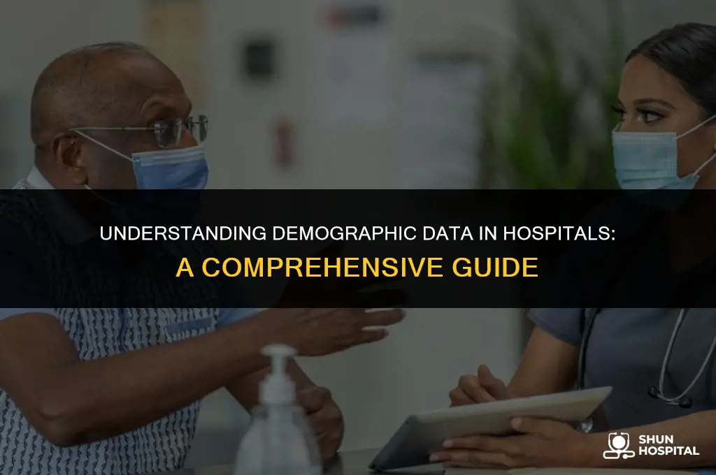 what is demographic data hospital