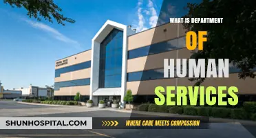 Understanding the Role and Responsibilities of the Department of Human Services