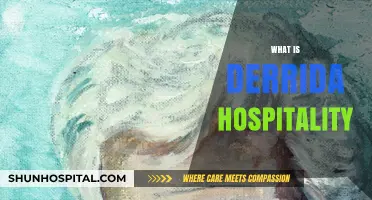 Exploring Derrida's Concept of Hospitality: A Philosophical Journey