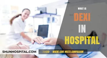 Understanding Dexi: A Comprehensive Guide for Hospital Professionals