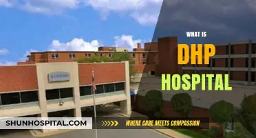 Exploring DHP Hospital: Services, Reputation, and Patient Care