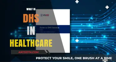 Understanding DHS: Its Role and Impact in Modern Healthcare Systems