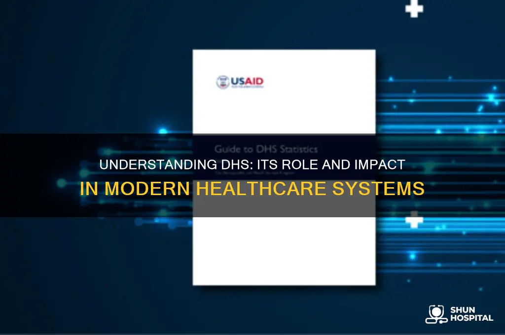 what is dhs in healthcare