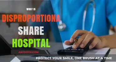 Understanding Disproportionate Share Hospitals: A Comprehensive Guide