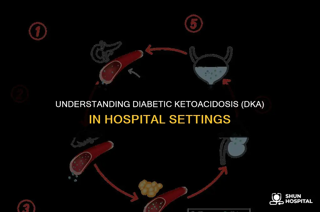 what is dka in hospital