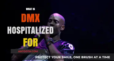 DMX Hospitalized: A Look into the Rapper's Health Crisis