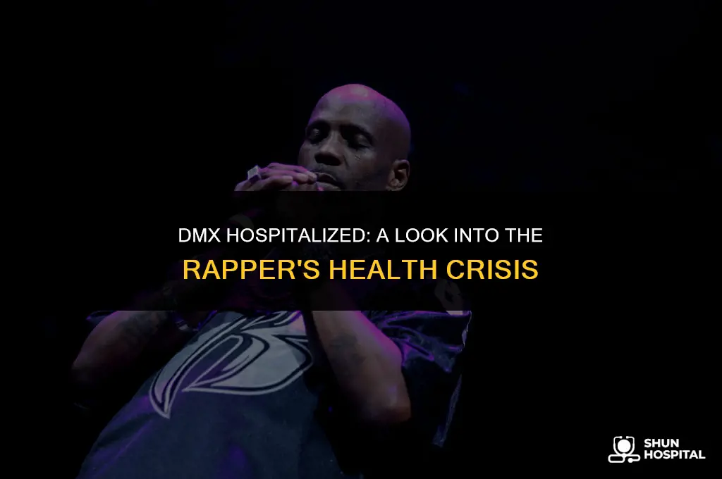 what is dmx hospitalized for