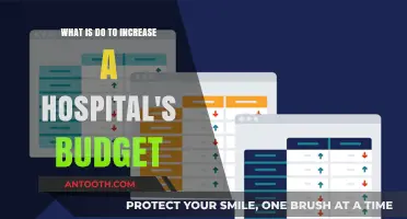 Boosting Hospital Budgets: Strategies for Financial Growth and Sustainability