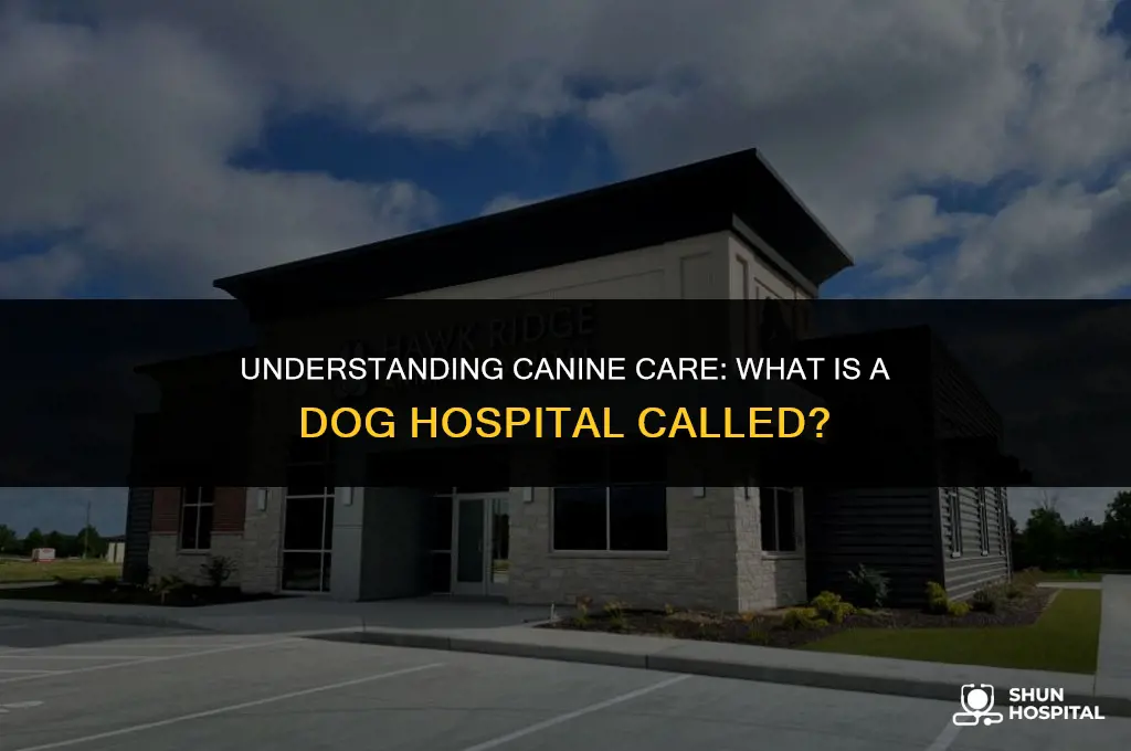 what is dog hospital called