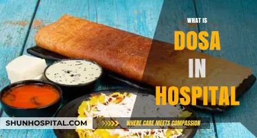 Understanding Dosa: A Nutritional Staple in Hospital Diets