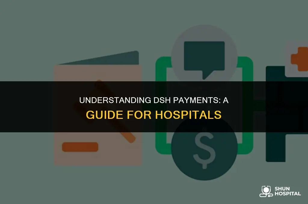 what is dsh payment hospital