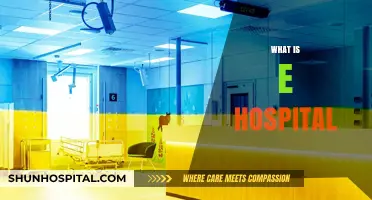 Exploring the Future of Healthcare: What is an E-Hospital?