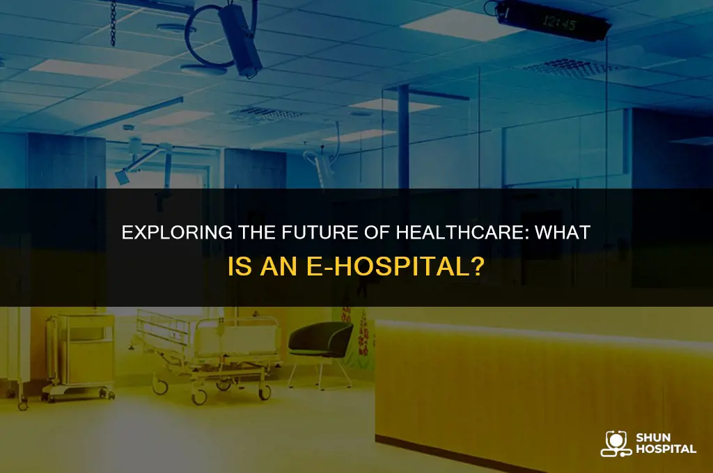 what is e hospital