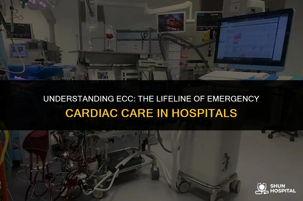 what is ecc in hospital