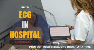 Understanding ECG: A Lifeline in Hospital Diagnostics