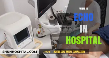 Understanding Echo: A Vital Diagnostic Tool in Modern Medicine