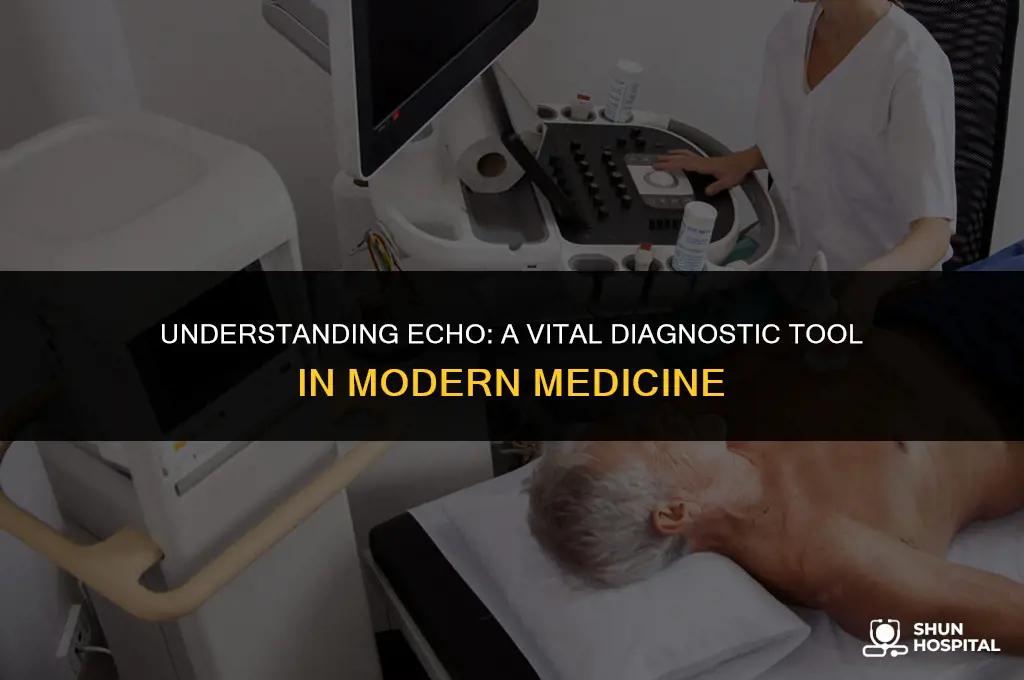 what is echo in hospital