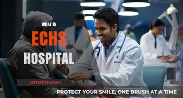 Exploring ECHS Hospital: A Comprehensive Guide to Services and Care