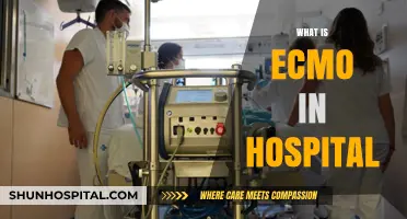 Understanding ECMO: A Lifesaving Hospital Intervention Explained Simply