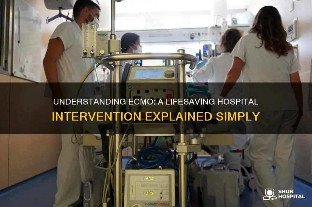 what is ecmo in hospital