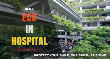 Sustainable Healthcare: Unveiling the Eco-Friendly Side of Hospitals