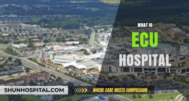 Exploring ECU Hospital: Services, History, and Community Impact