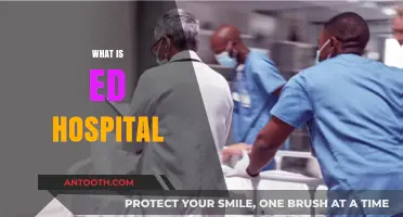 Understanding ED Hospitals: Emergency Department Care Explained Simply