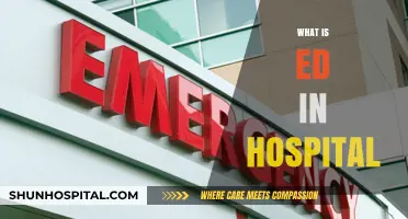 Understanding ED: Emergency Department Roles and Importance in Hospitals