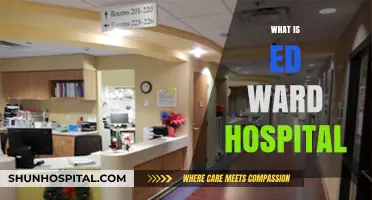 Exploring the Legacy and Services of Ed Ward Hospital